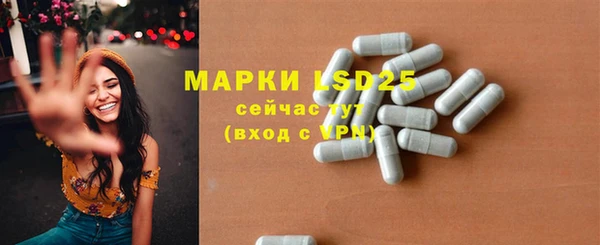 ГАЛЛЮЦИНОГЕННЫЕ ГРИБЫ Балабаново