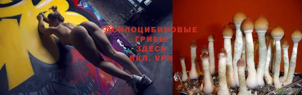 марихуана Баксан