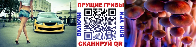 закладка Хадыженск Галлюциногенные грибы GOLDEN TEACHER